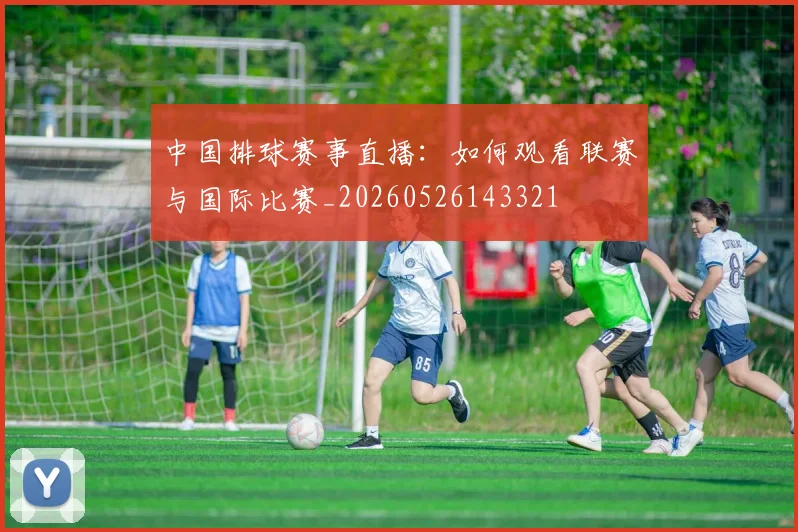 中国排球赛事直播：如何观看联赛与国际比赛_20260526143321