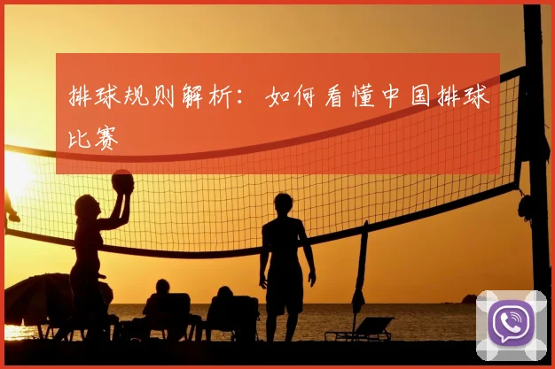 排球规则解析:如何看懂中国排球比赛