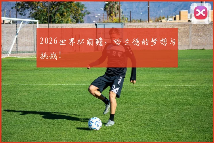 2026世界杯前瞻,哈兰德的梦想与挑战!