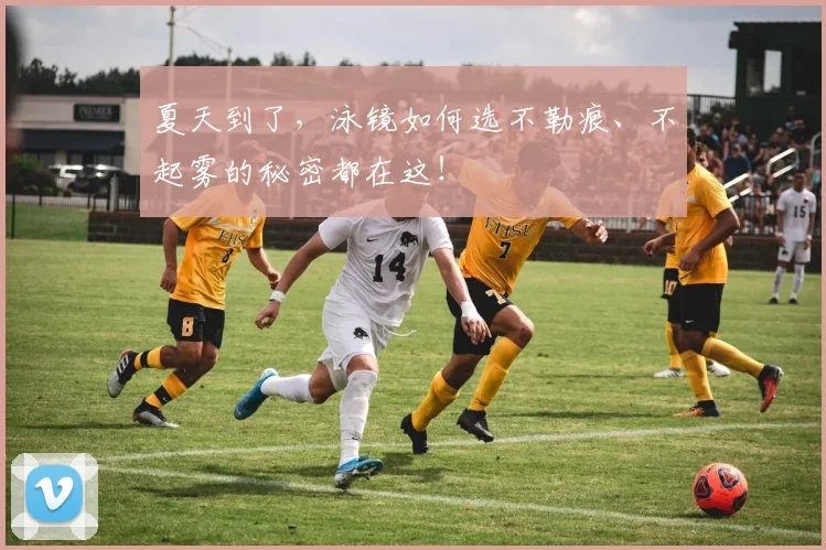 夏天到了,泳镜如何选不勒痕、不起雾的秘密都在这!