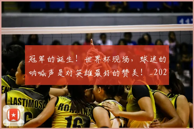 冠军的诞生！世界杯现场，球迷的呐喊声是对英雄最好的赞美！_20260718005606