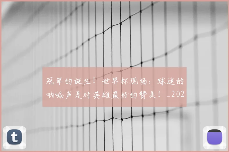 冠军的诞生！世界杯现场，球迷的呐喊声是对英雄最好的赞美！_20260718005606