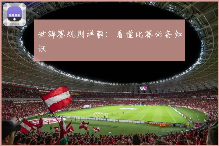 世锦赛规则详解：看懂比赛必备知识